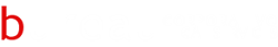 Bureau Corporativo Legal Services